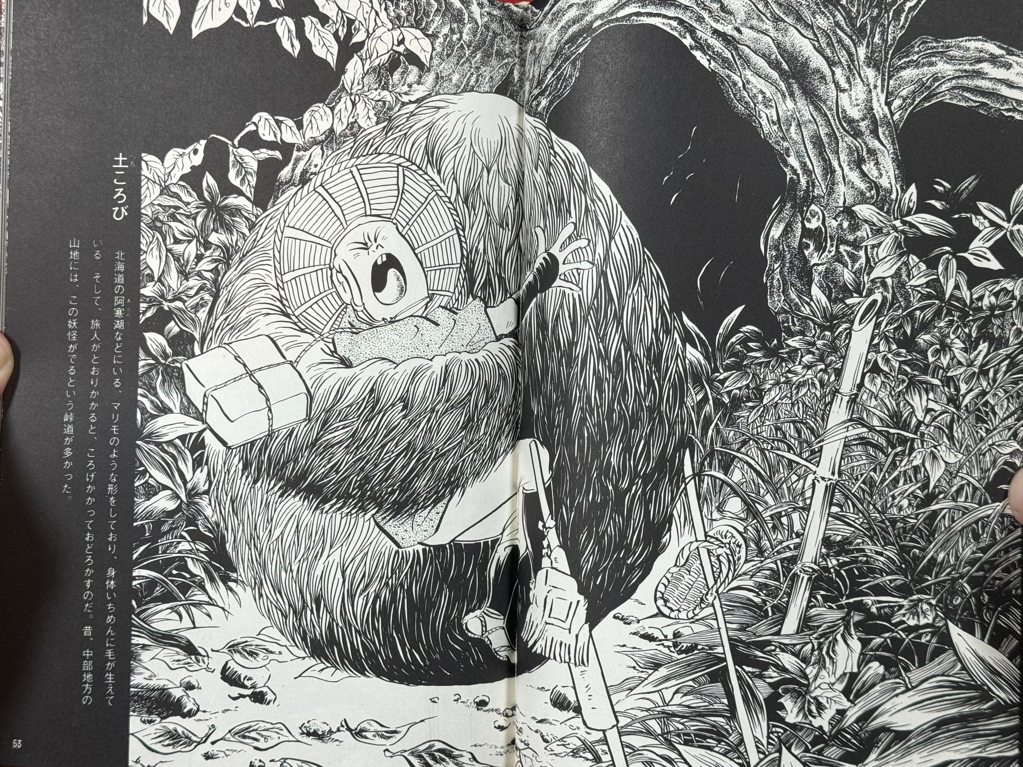 Mizuki Shigeru Yokai Art Collection w/ Slipcover (1970)