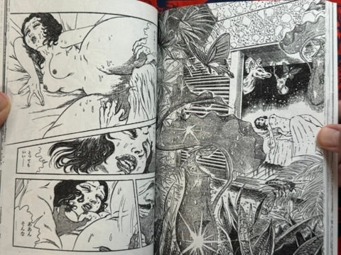 SIGNED! The Bizarre Erotic World of Shingo Tsuchiya (1979/2025 Exhibition)
