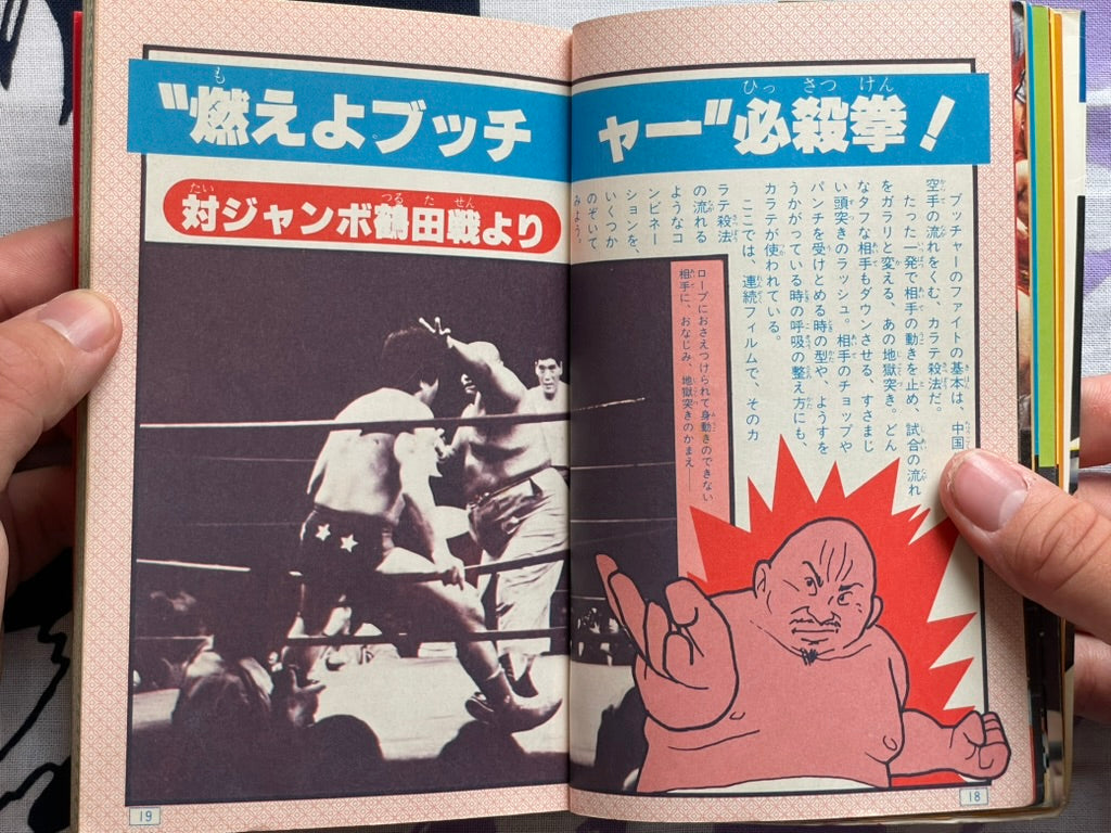 Butcher Heel Wrestler Super Encyclopedia (1981)