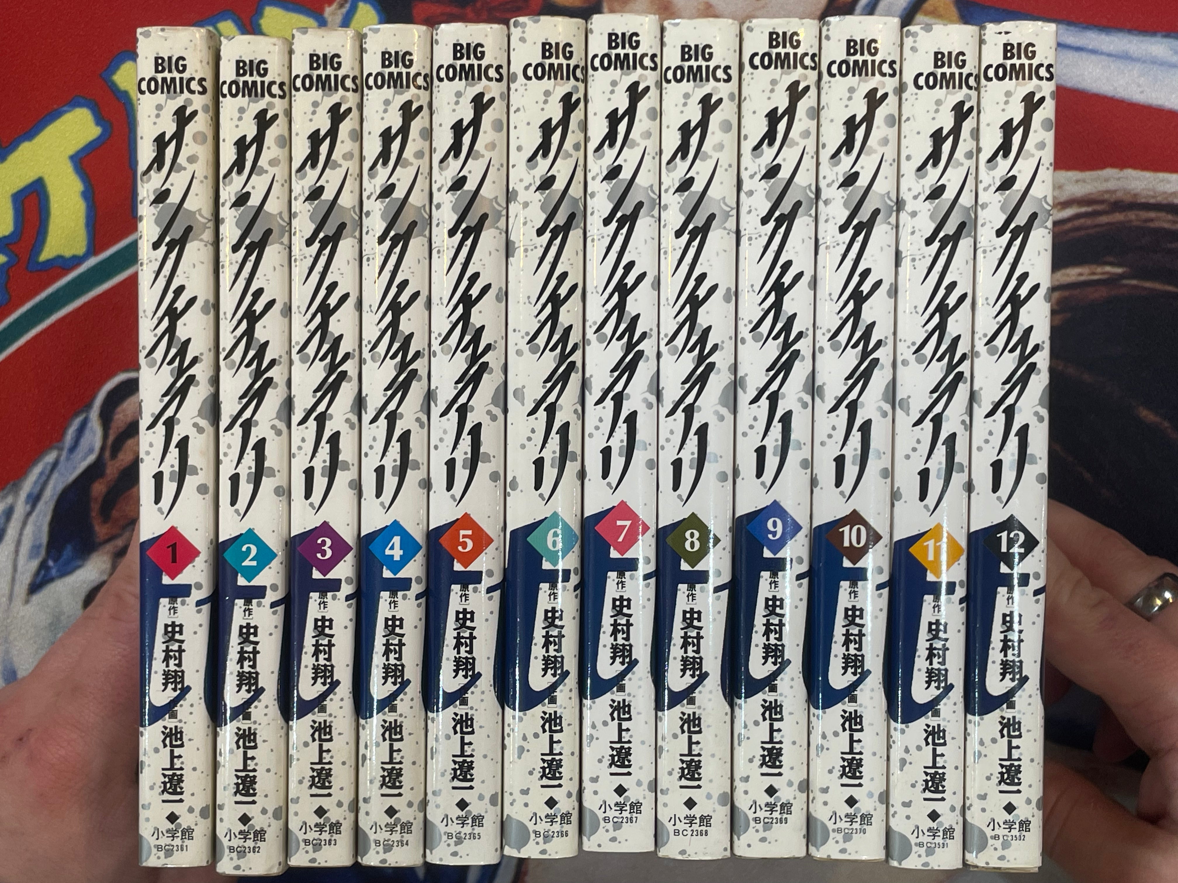 12 Vol Set Sanctuary Full 12 Volume Set by Sho Fumimura & Ryoichi Ikegami (1993 ...