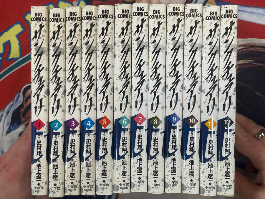 Sanctuary Full 12 Volume Set by Sho Fumimura & Ryoichi Ikegami (1993)