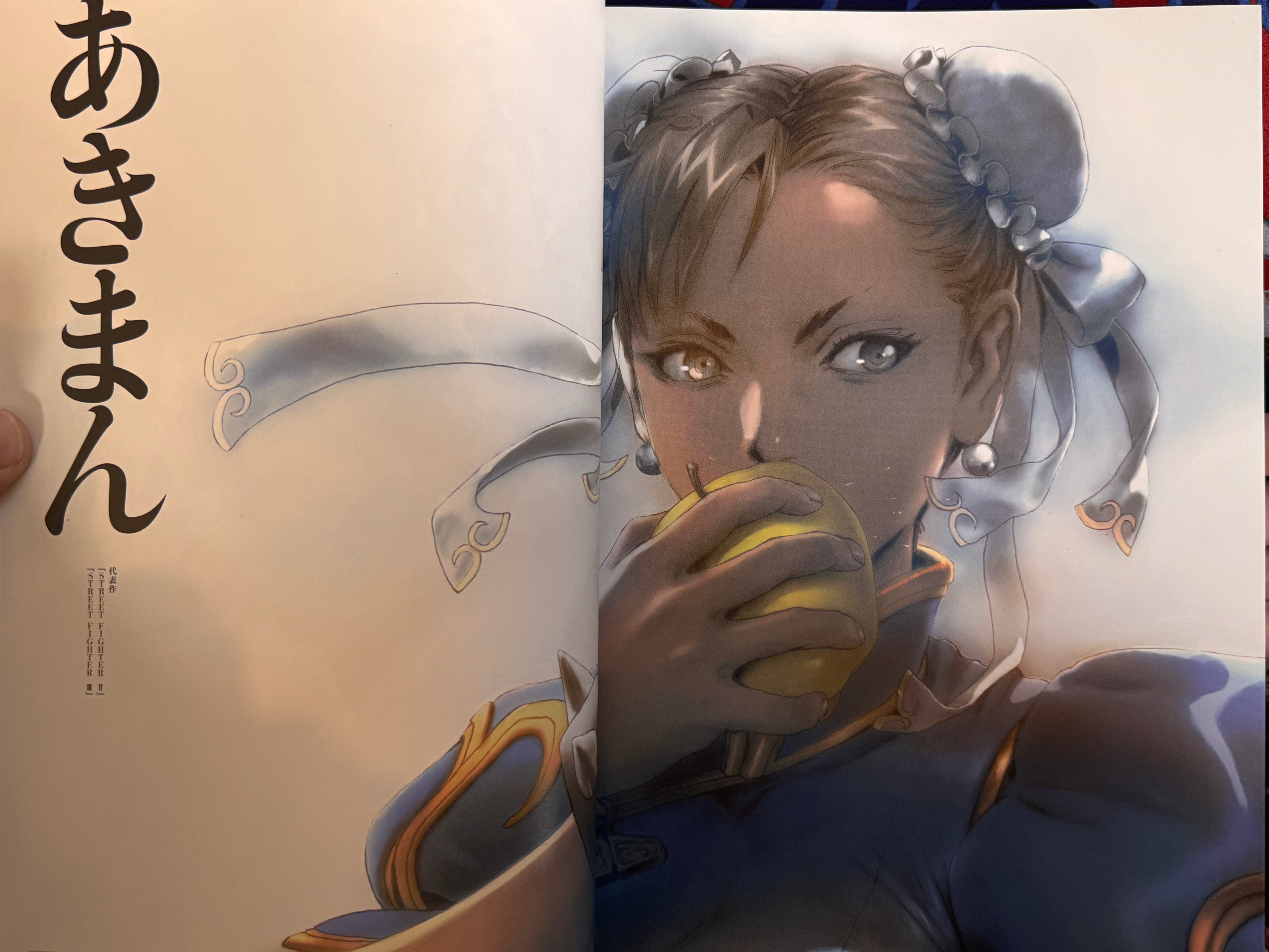 CAPCOM Street Fighters Art Works Supremacy (2009)