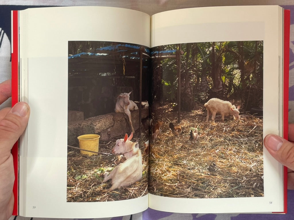 Okinawa Cats: Sentimental Journey (2006)
