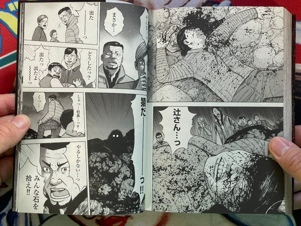 Monkey Peak by Koji Shinasaka & Akihiro Kumeta Vol. 1-12 + The Rock Vol. 2 (2017)