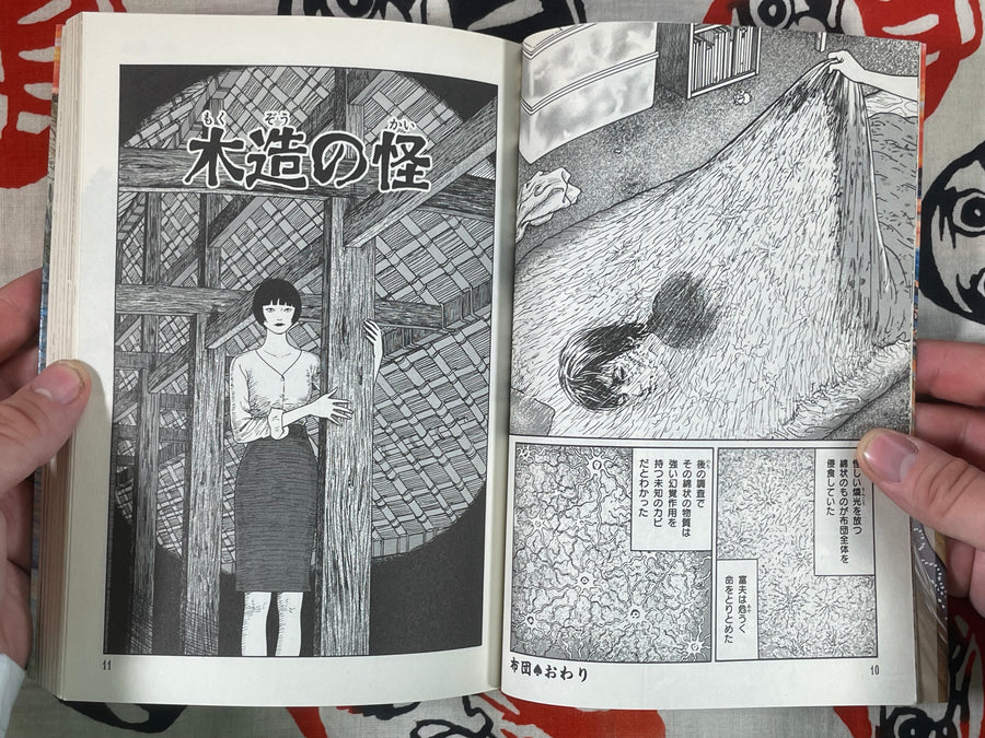 Fragment of Horror by Junji Ito (2015)