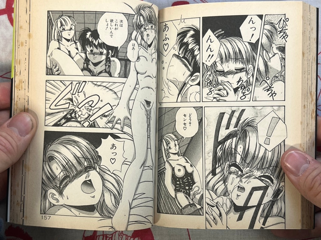 I Like You After All! - bunko size by Kawahara Shin (1995)