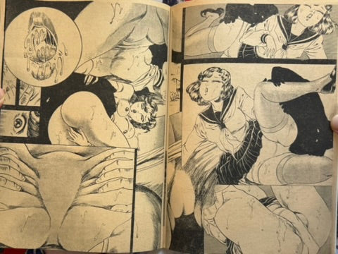 Pink Box Magazine Vol. 11 (1970s?)