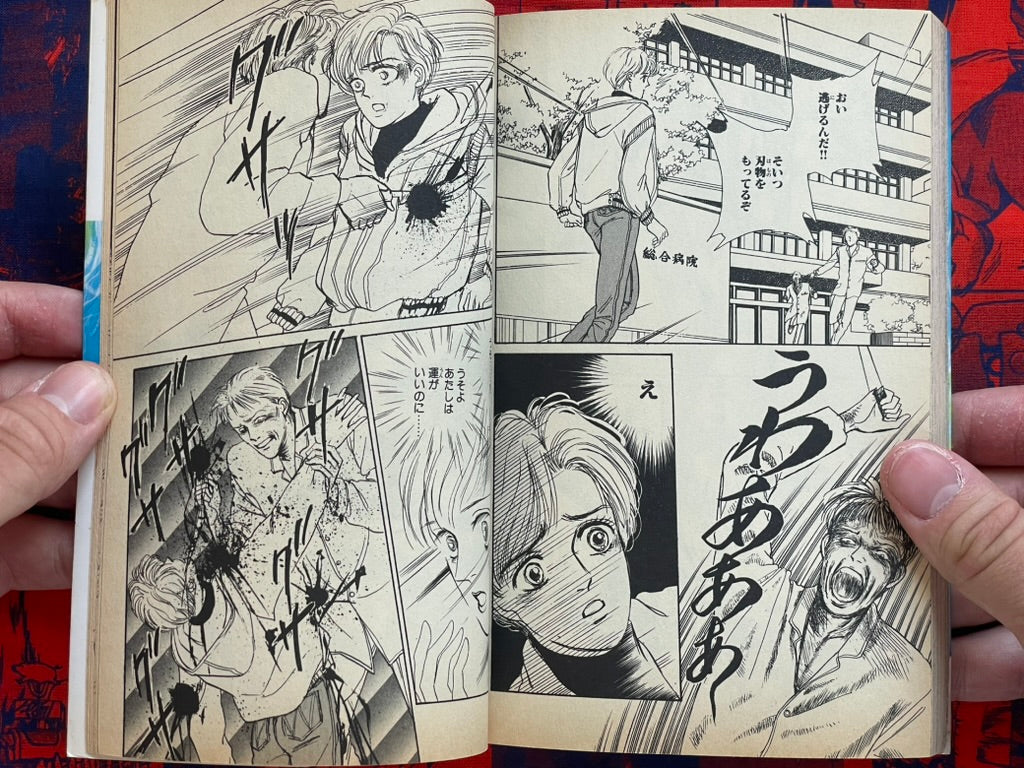 Evil Spirit World by Maiko Asano (1992)