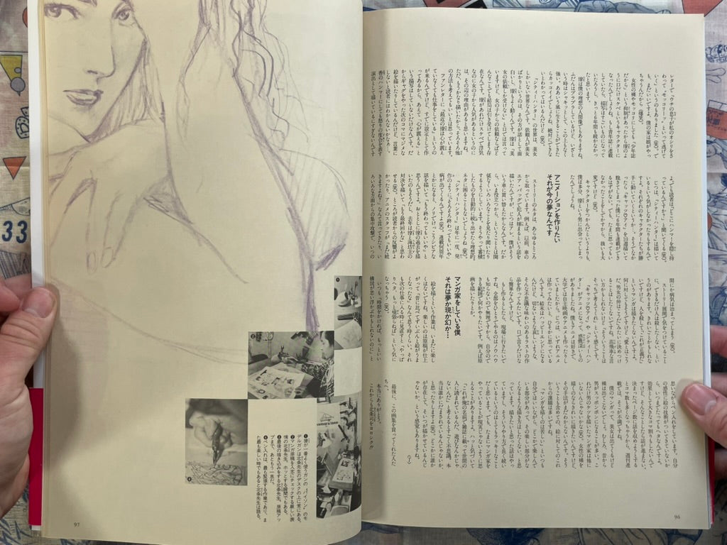 Tsukasa Hojo Illustrations (1991)