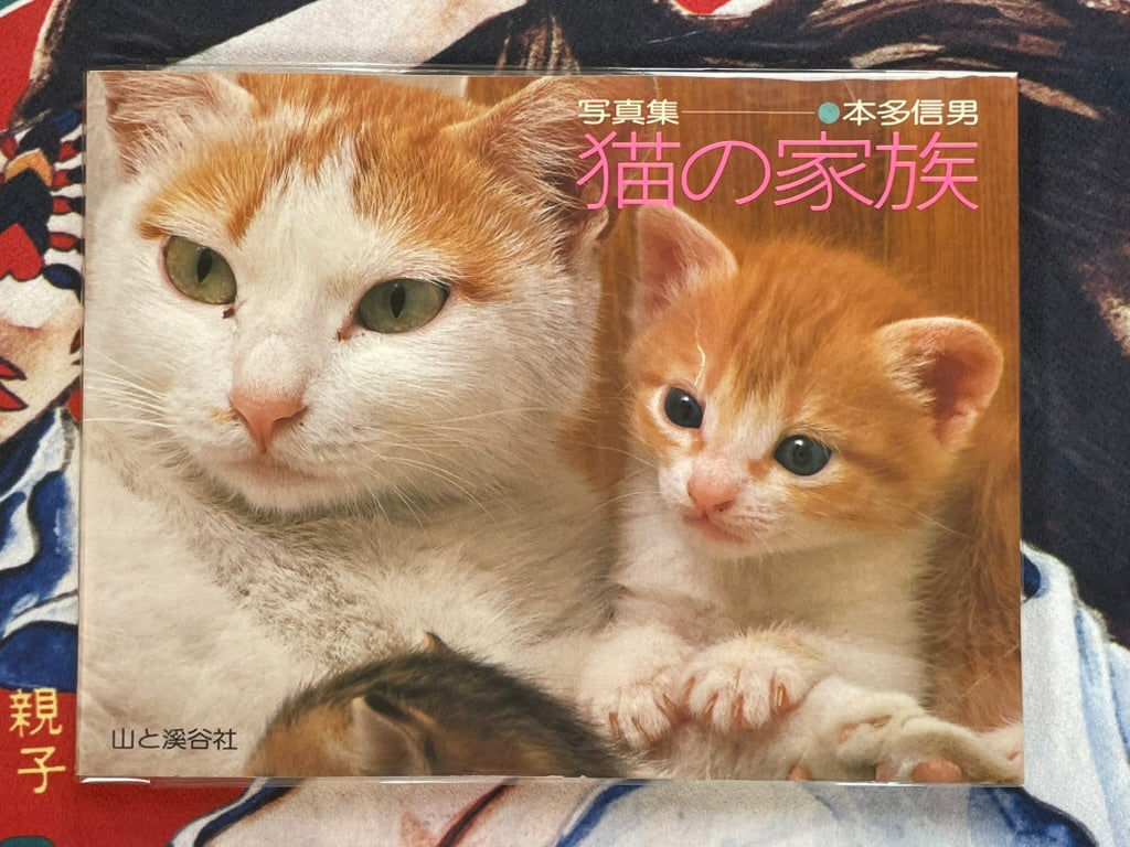 Cat Family by Honda Nobuo (1981)-thumbmail-1