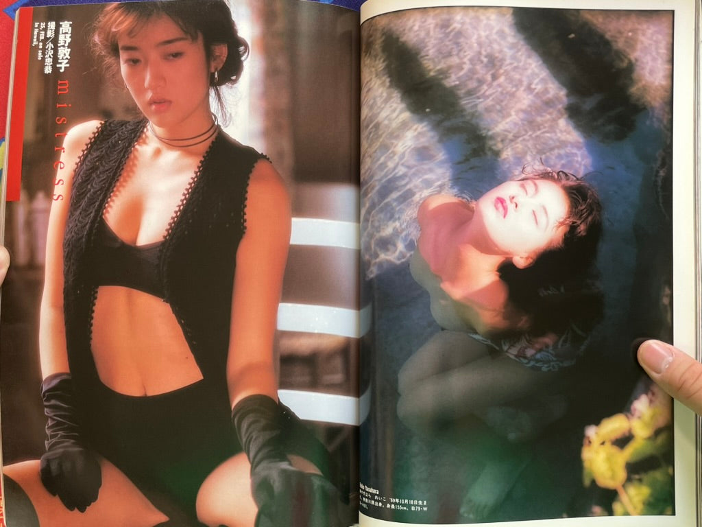 Wani Mook: Best Shot!! Vol. 2 (1994)