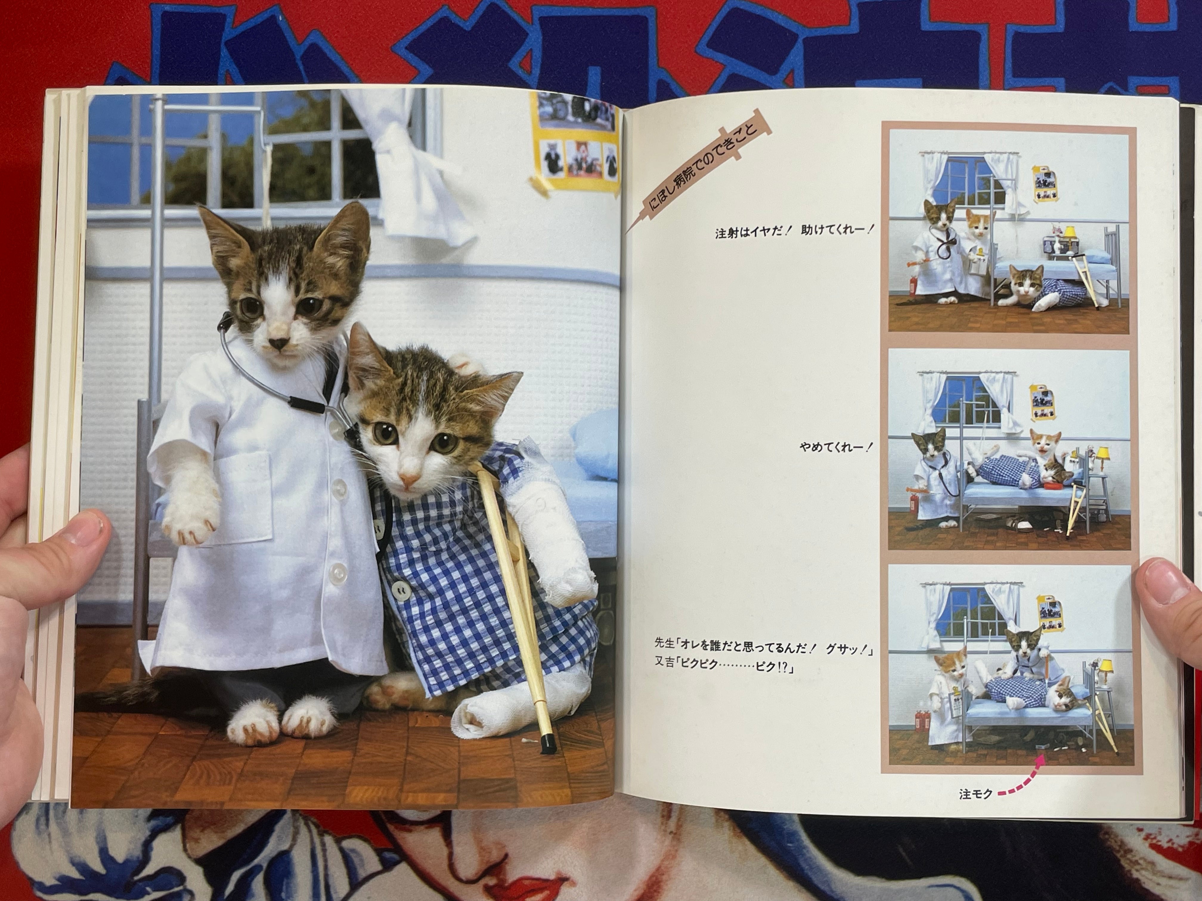 Namennayo Cat Photo Album (1981)