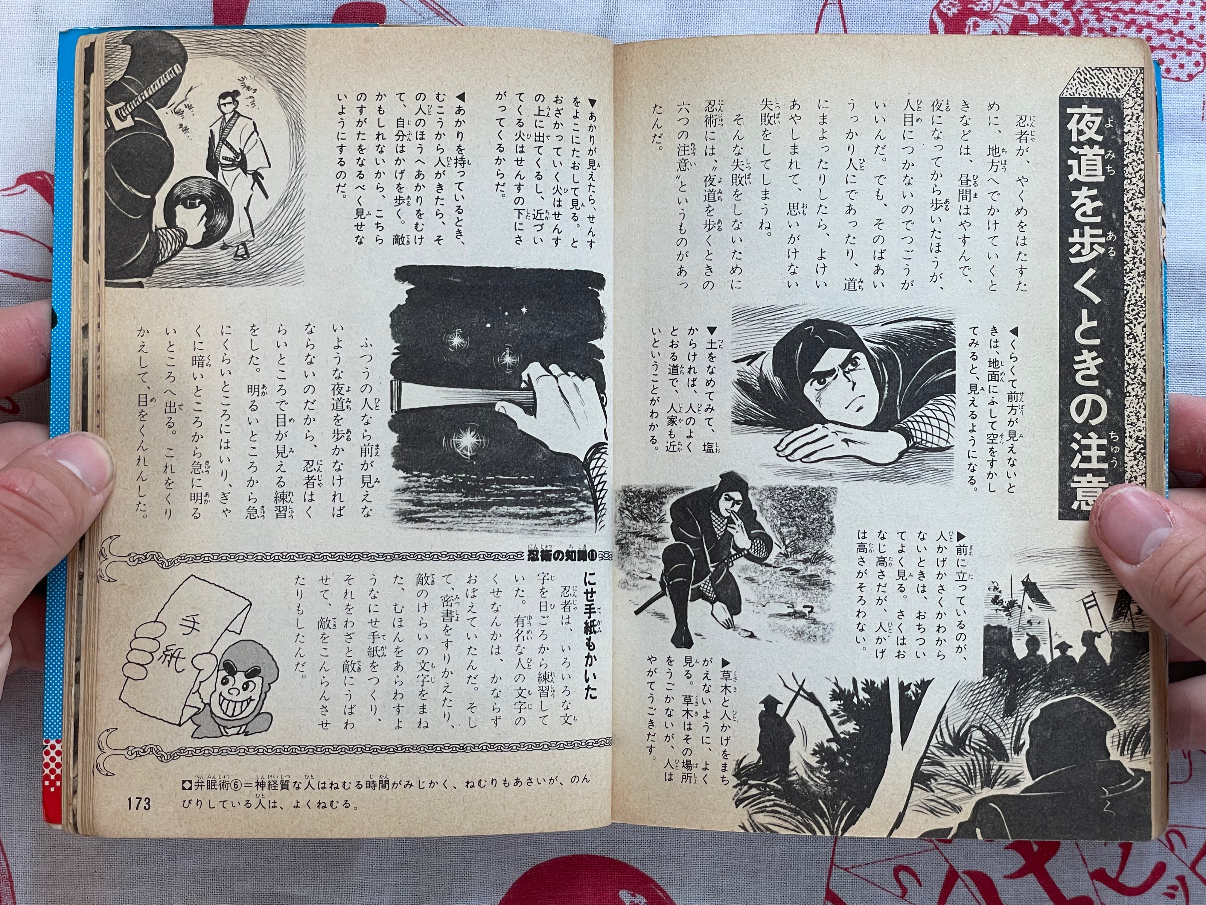 All Things Ninja by Number One Books (1976)