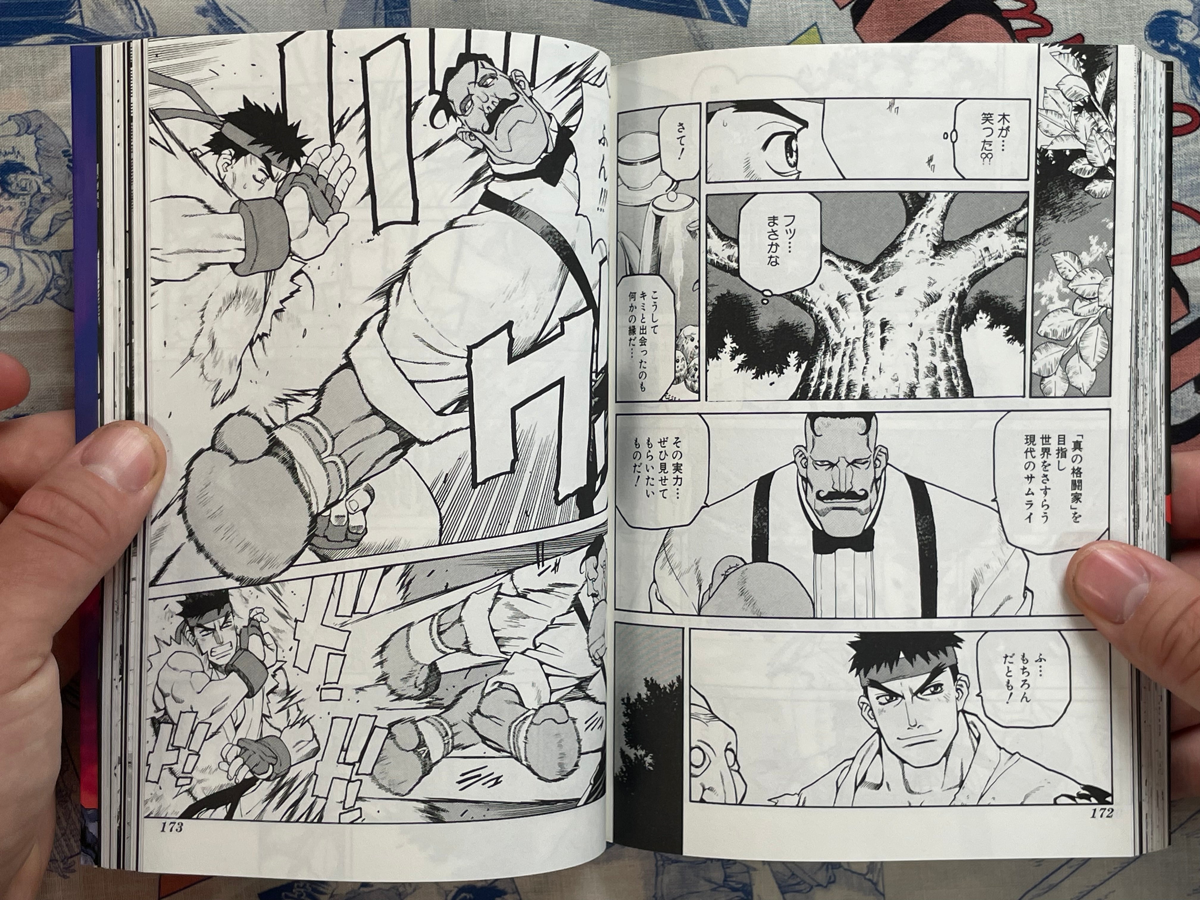 Street Fighter III Ryu Final by Masahiko Nakahira (1999)-thumbmail-14