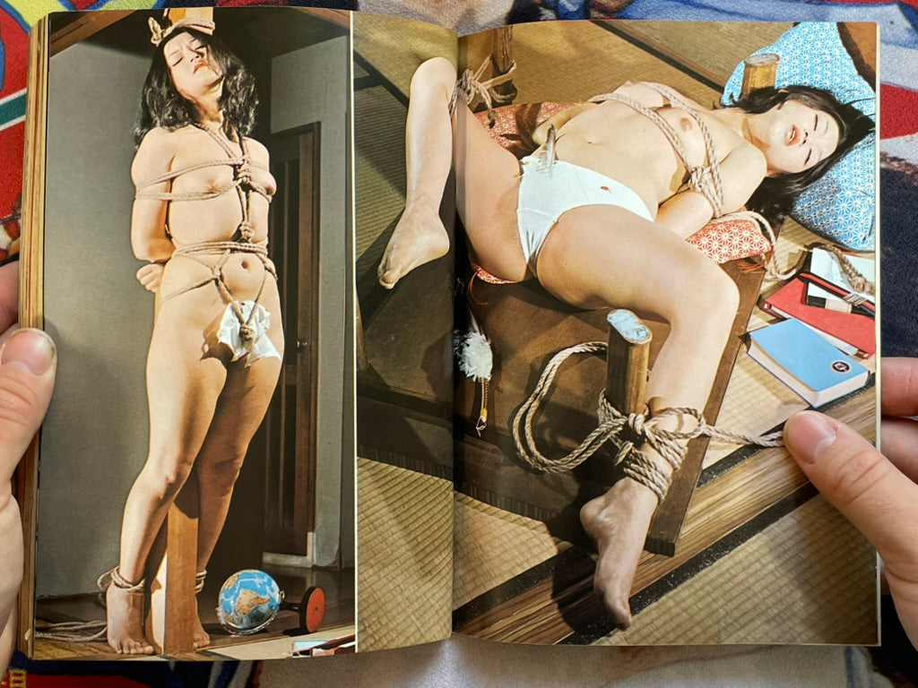SM Collector (1974/8)
