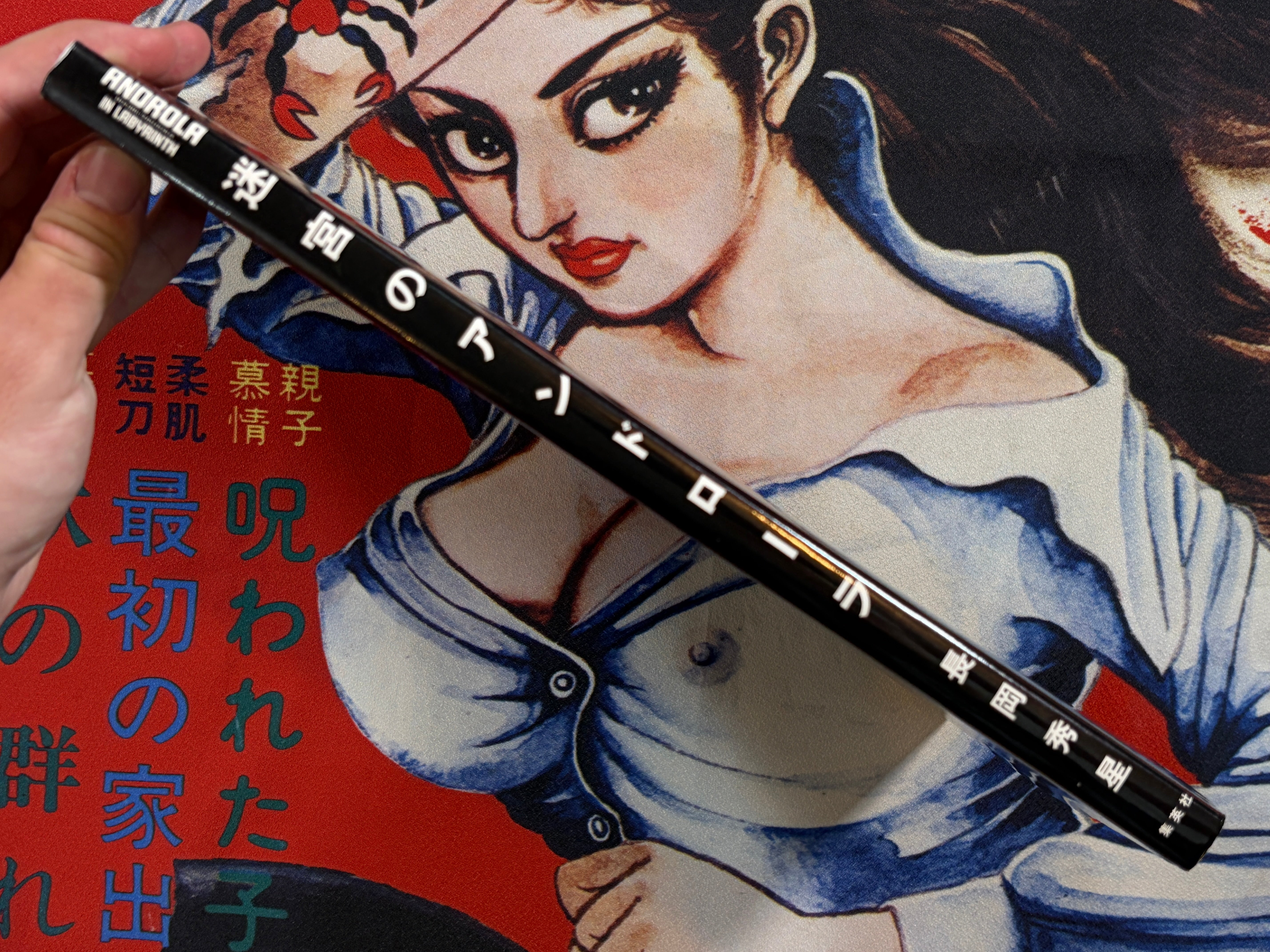 Androla in Labyrinth by Shusei Nagaoka (1984)