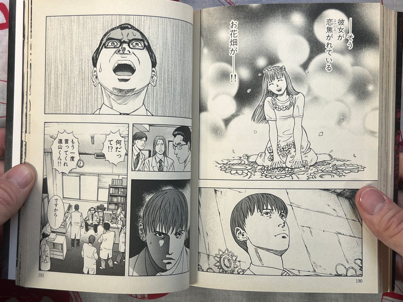 Red Sister by Masaya Hokazono (2010)