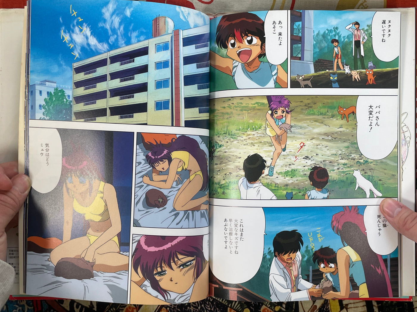 Bannou Bunka Neko Musume - Hardcover by Yuzo Takada, Yuji Moriyama (1993)