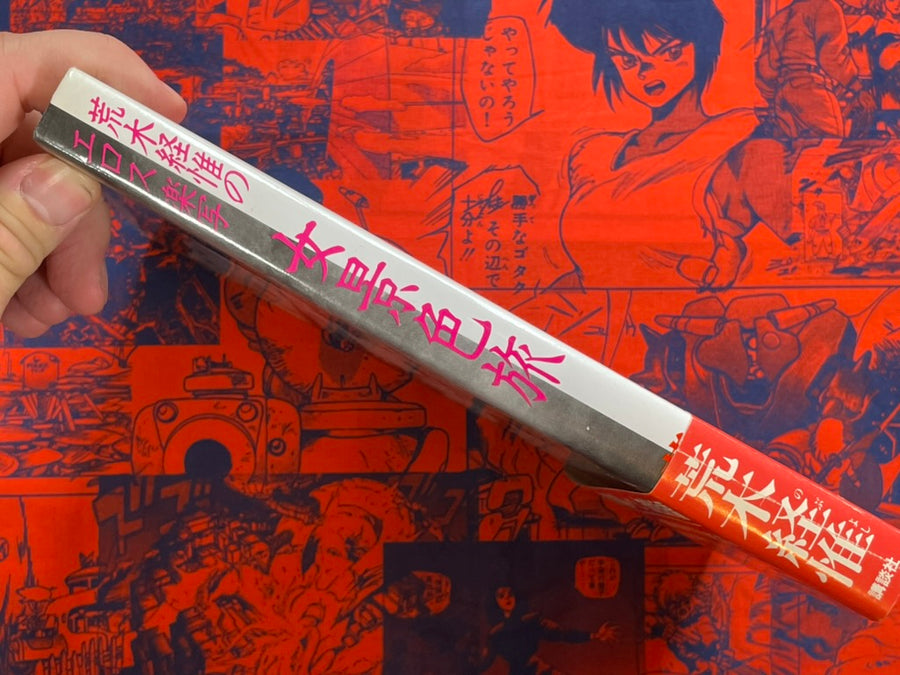 Women Scenery Journey by Nobuyoshi Araki (1983)