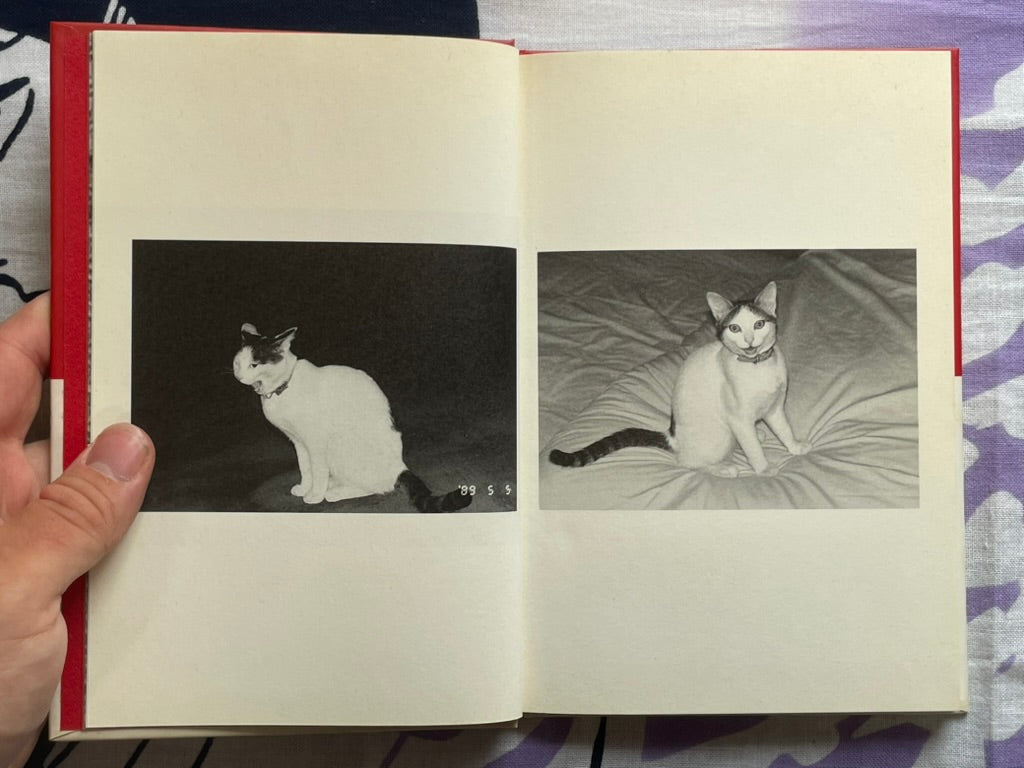 Chiro, My Love - Hardcover by Nobuyoshi Araki (1990)