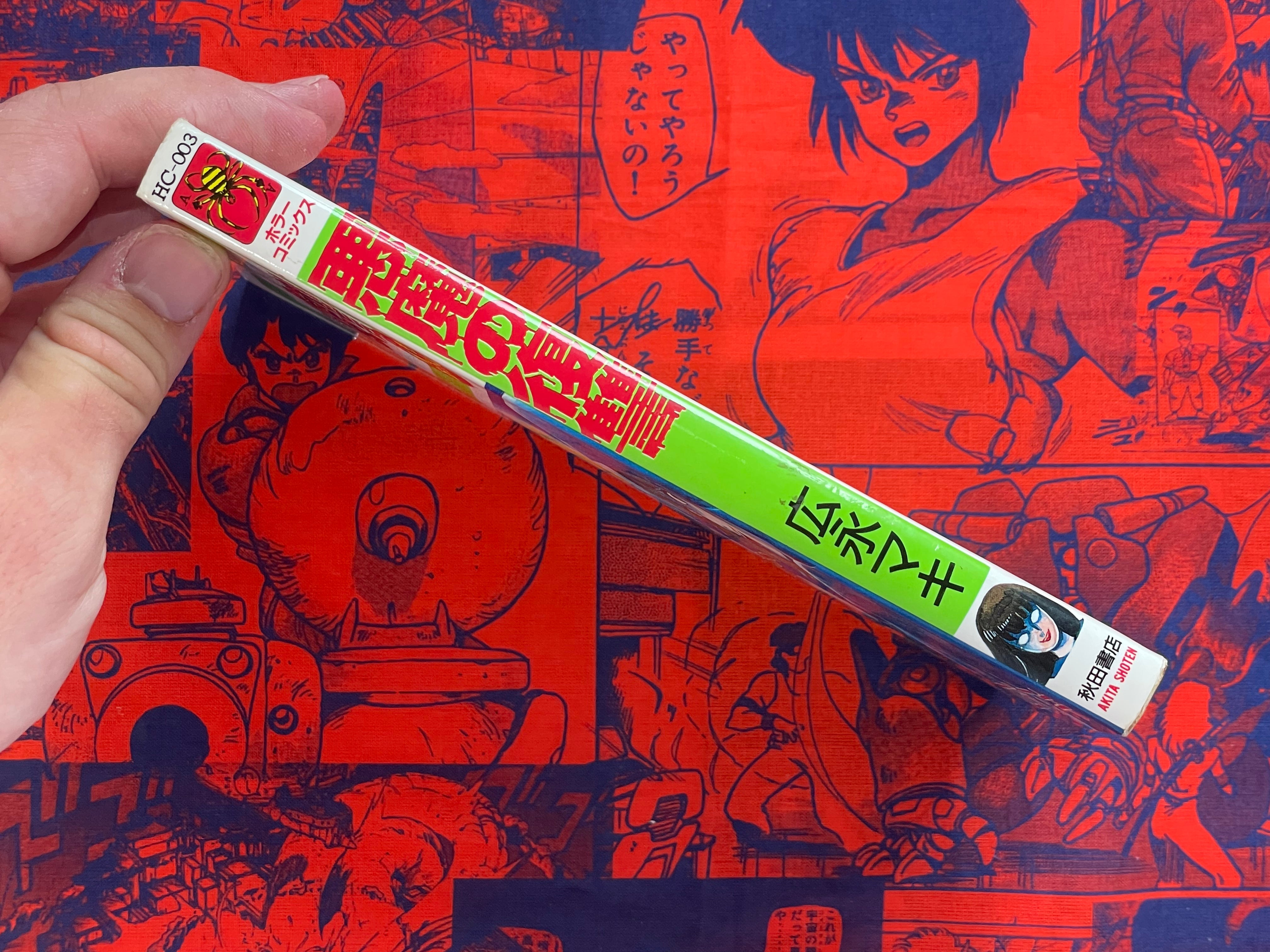 Demon's Revenge by Hironaga Maki (1986)