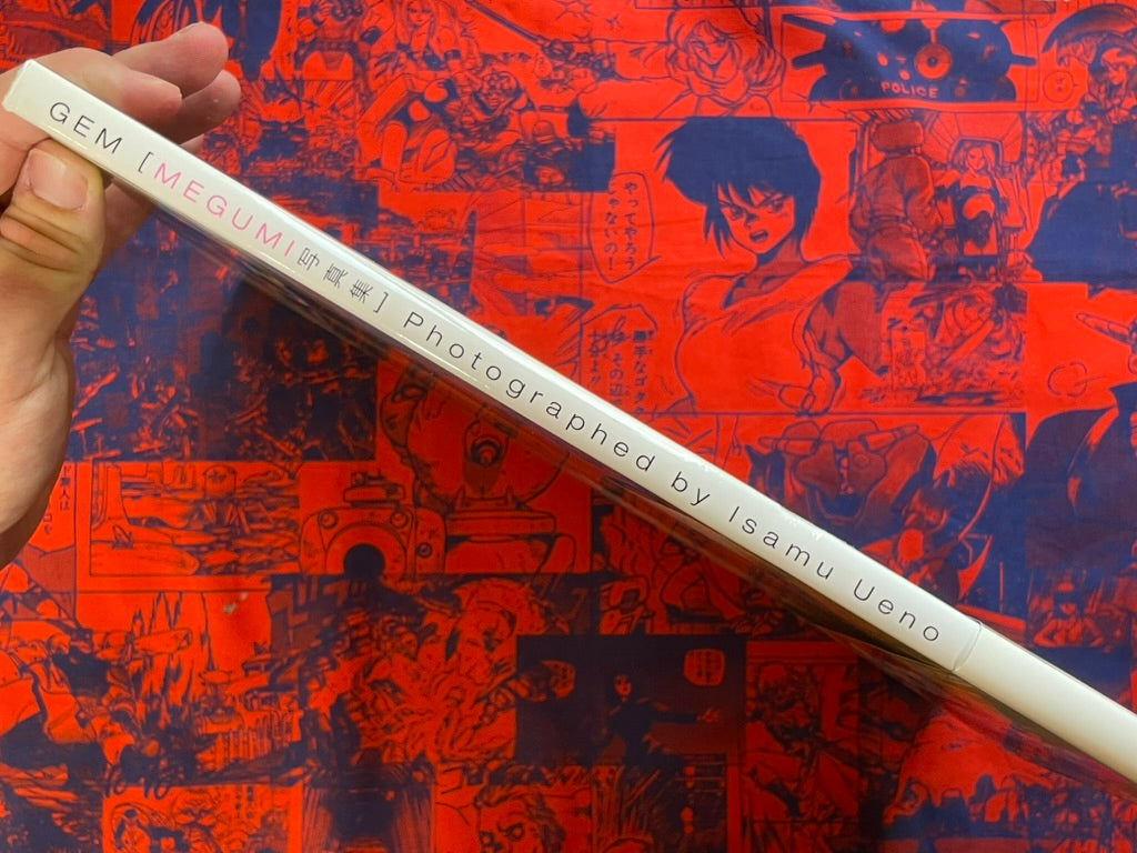 MANGA zamzanbanshee 辻仁成 tsuji hitonari Art Books · Japan Book Hunter