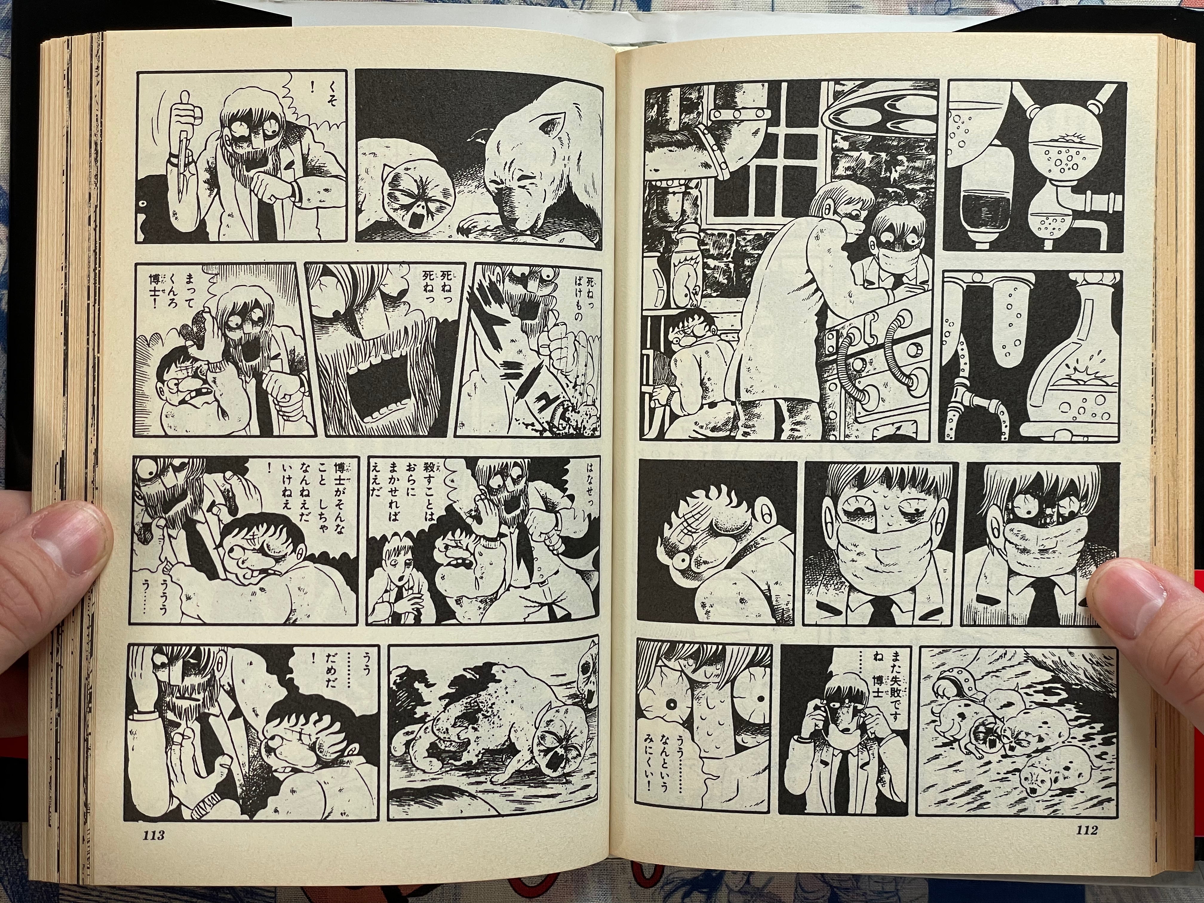 Lullaby of Hell 地獄の子守唄 Hardcover Edition by Hino Hideshi (1995/First Edition)