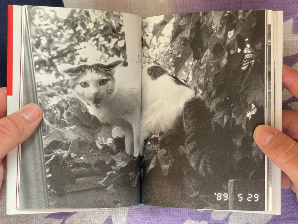 Chiro, My Love - (Bunko Edition) Hardcover by Nobuyoshi Araki (2007)