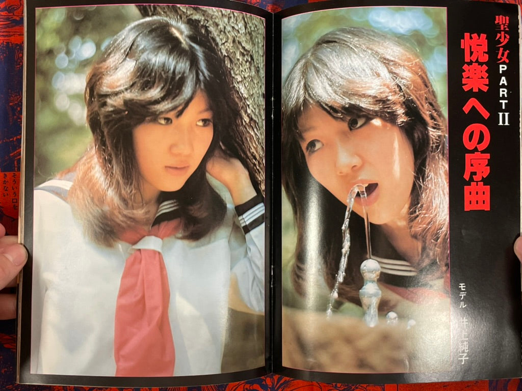 Sailor Youg Girls Vol. 1 (1980s?)