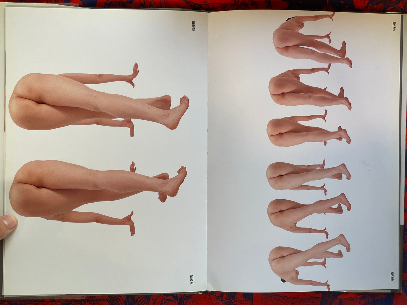 Photographic-Stereogram 3D-Nude by Studio Zen (1993)