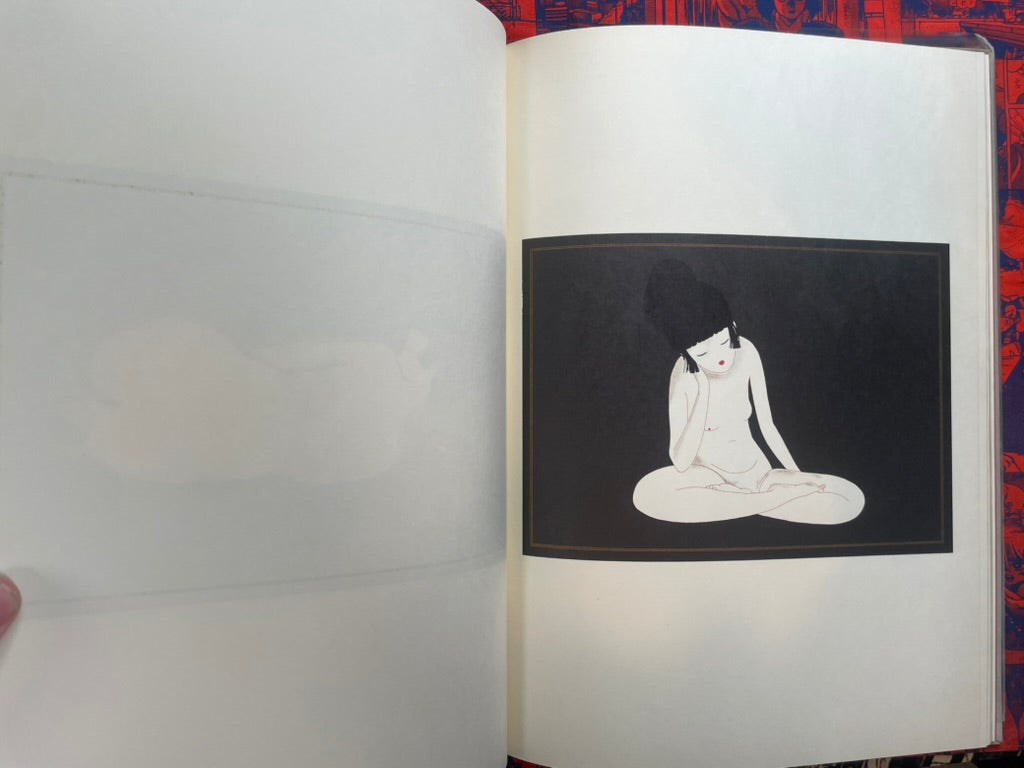 Minscape Beauty Illustrations - Oversized, Slipcover, Hardcover by Hayashi Seiichi (1976)