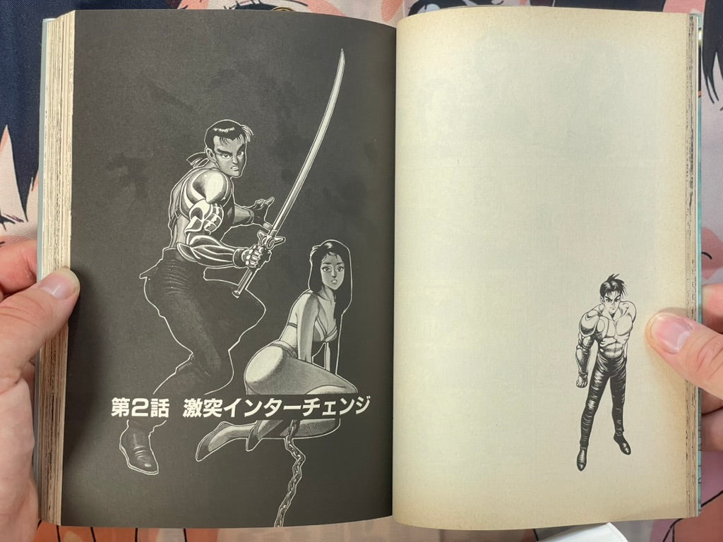 Silverstar by Itahashi Syufu (1991)-thumbmail-7