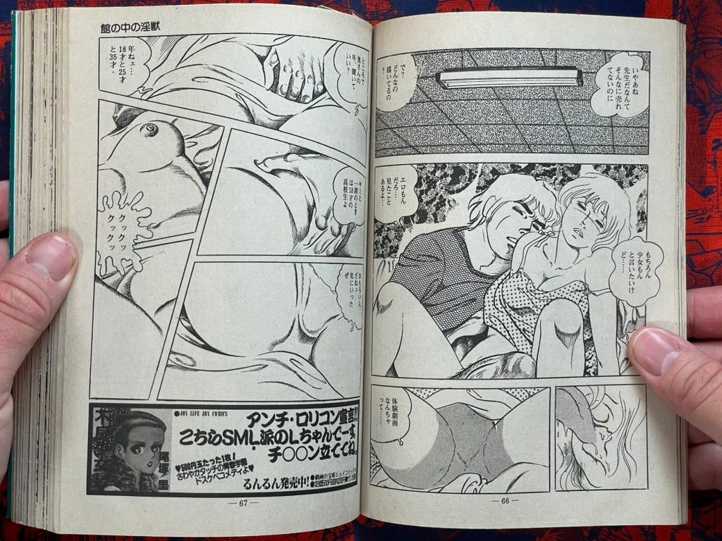Sexy Doll by Hatano Emi (1983)-thumbmail-5