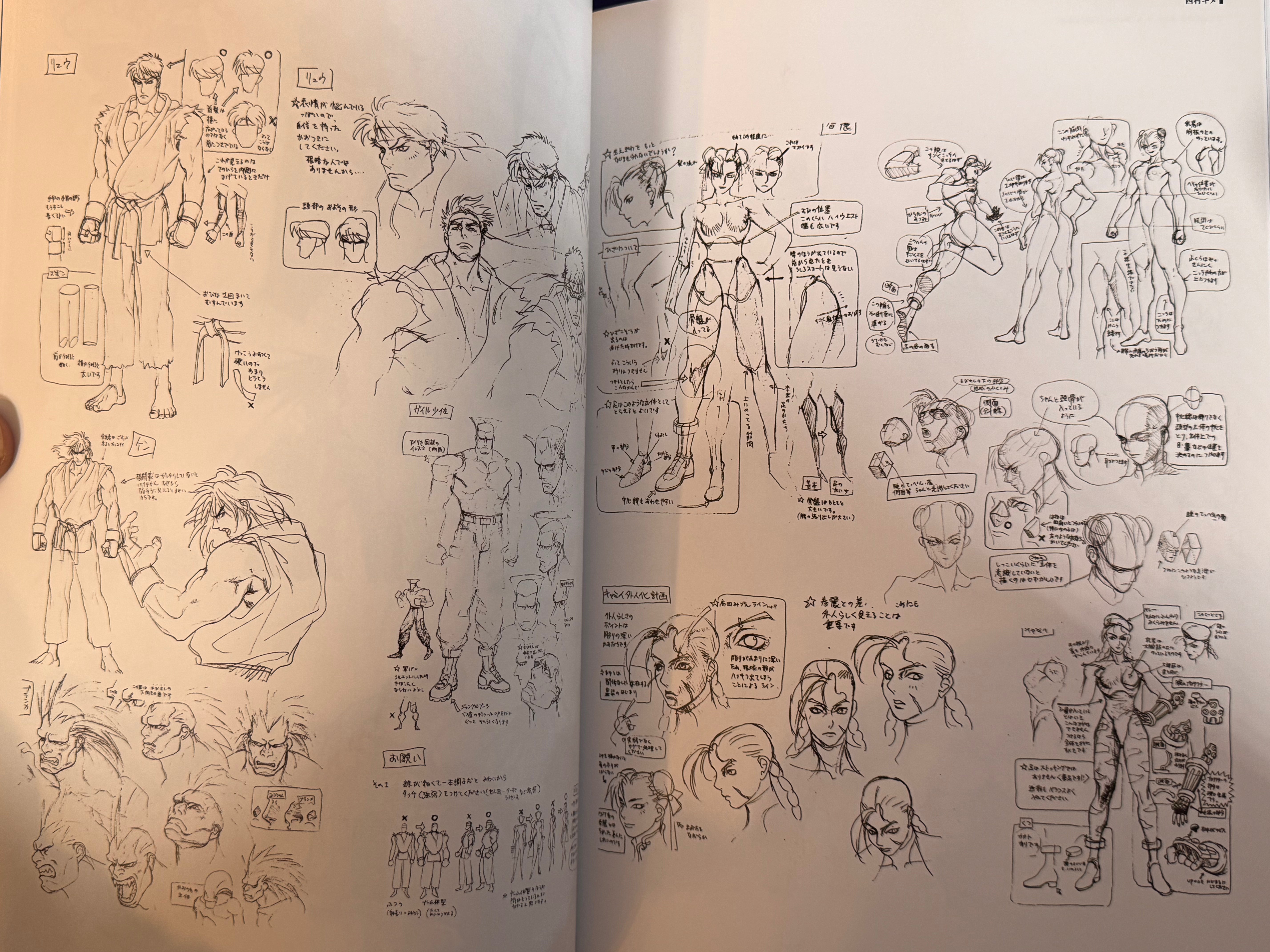 CAPCOM Street Fighters Art Works Supremacy (2009)