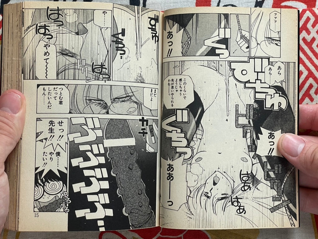 Girl Next Door Bunko Edition by Eri Mizushima (1988)