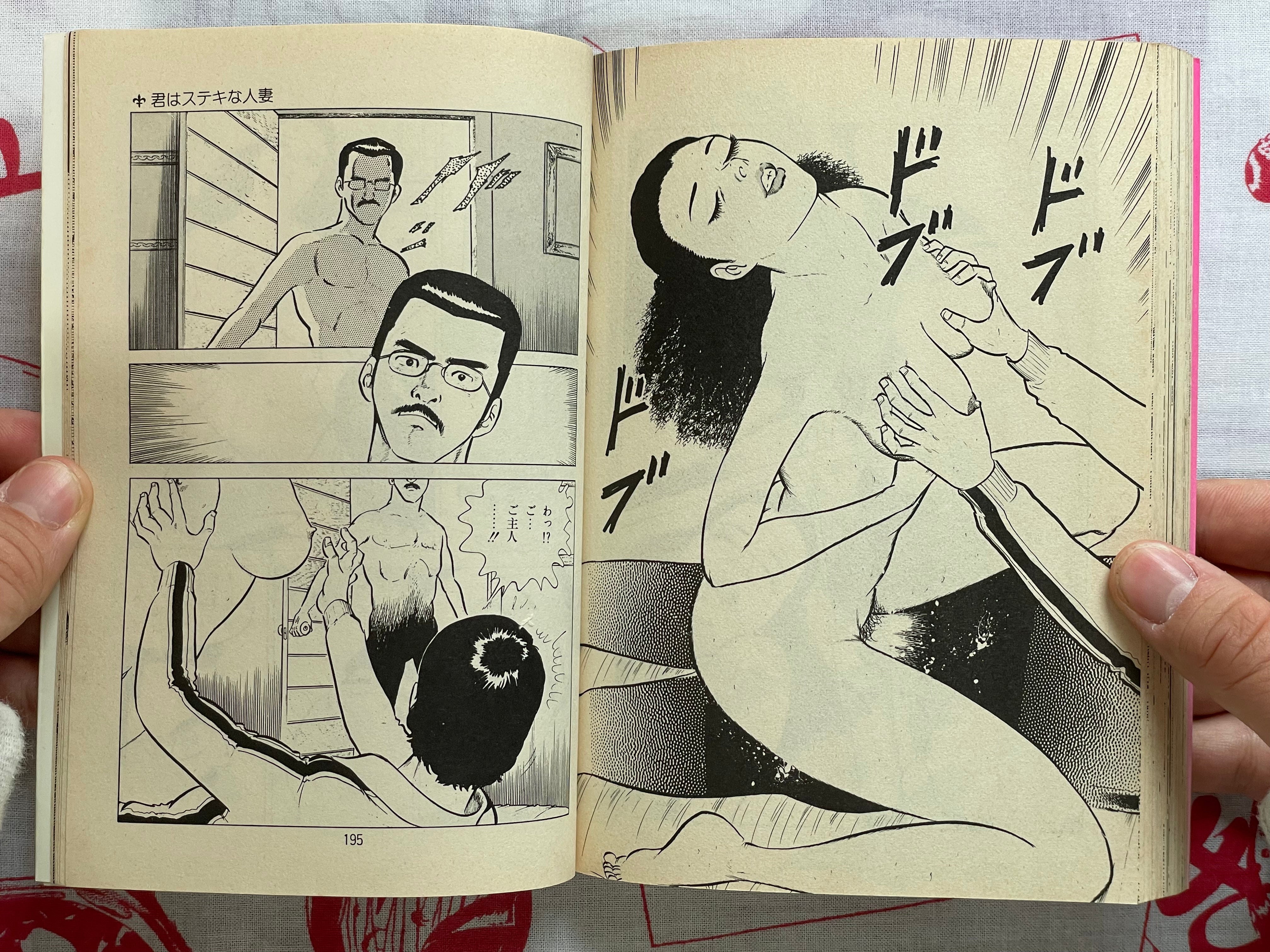 Sad Checkup by Natsumi Kei (1983)