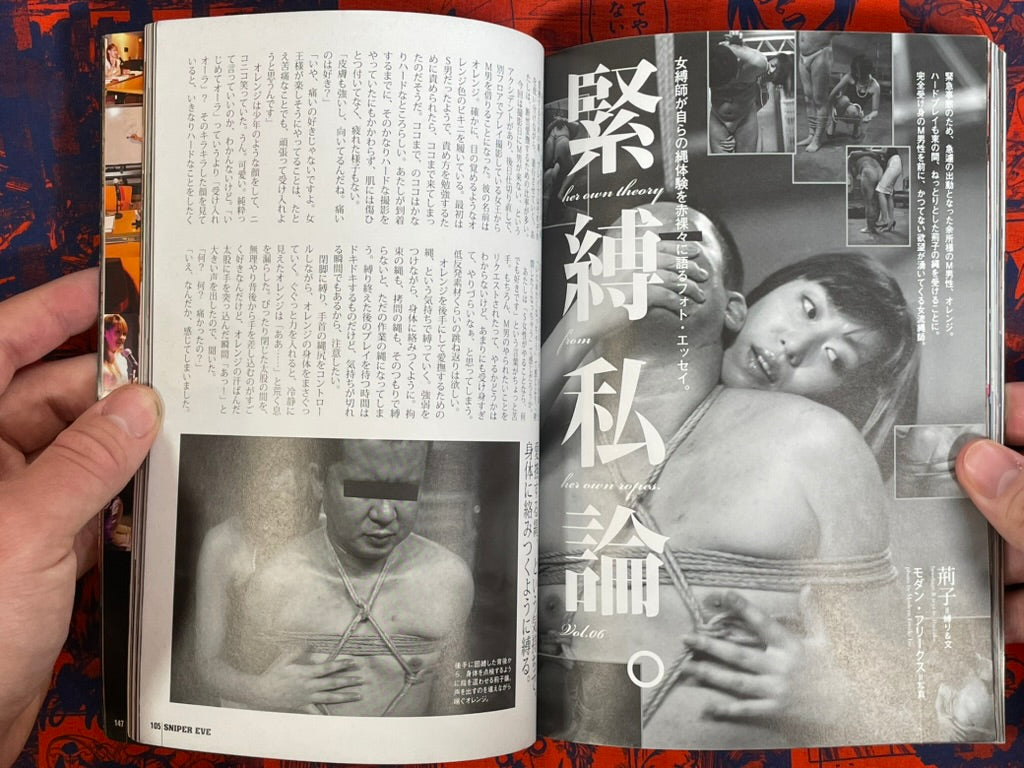 Sniper Eve Magazine Vol. 38 (11/2010)