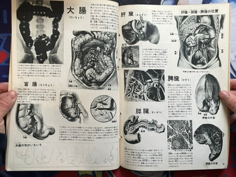 The Science Graph Vol. 7: Human Body Edition (1962)