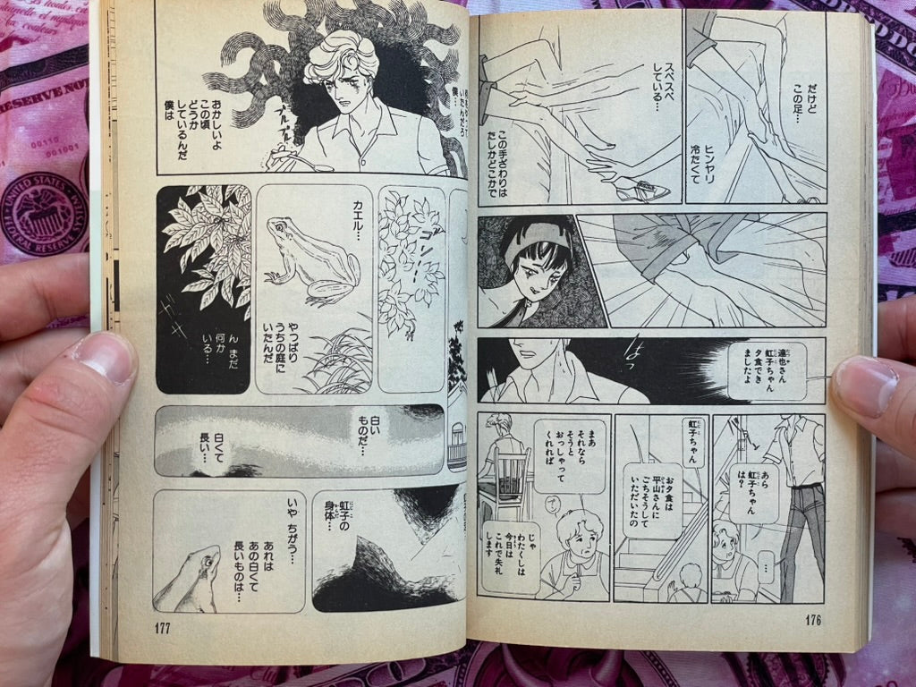 Voice of the Tide by Mayuri Yamamoto (1992)