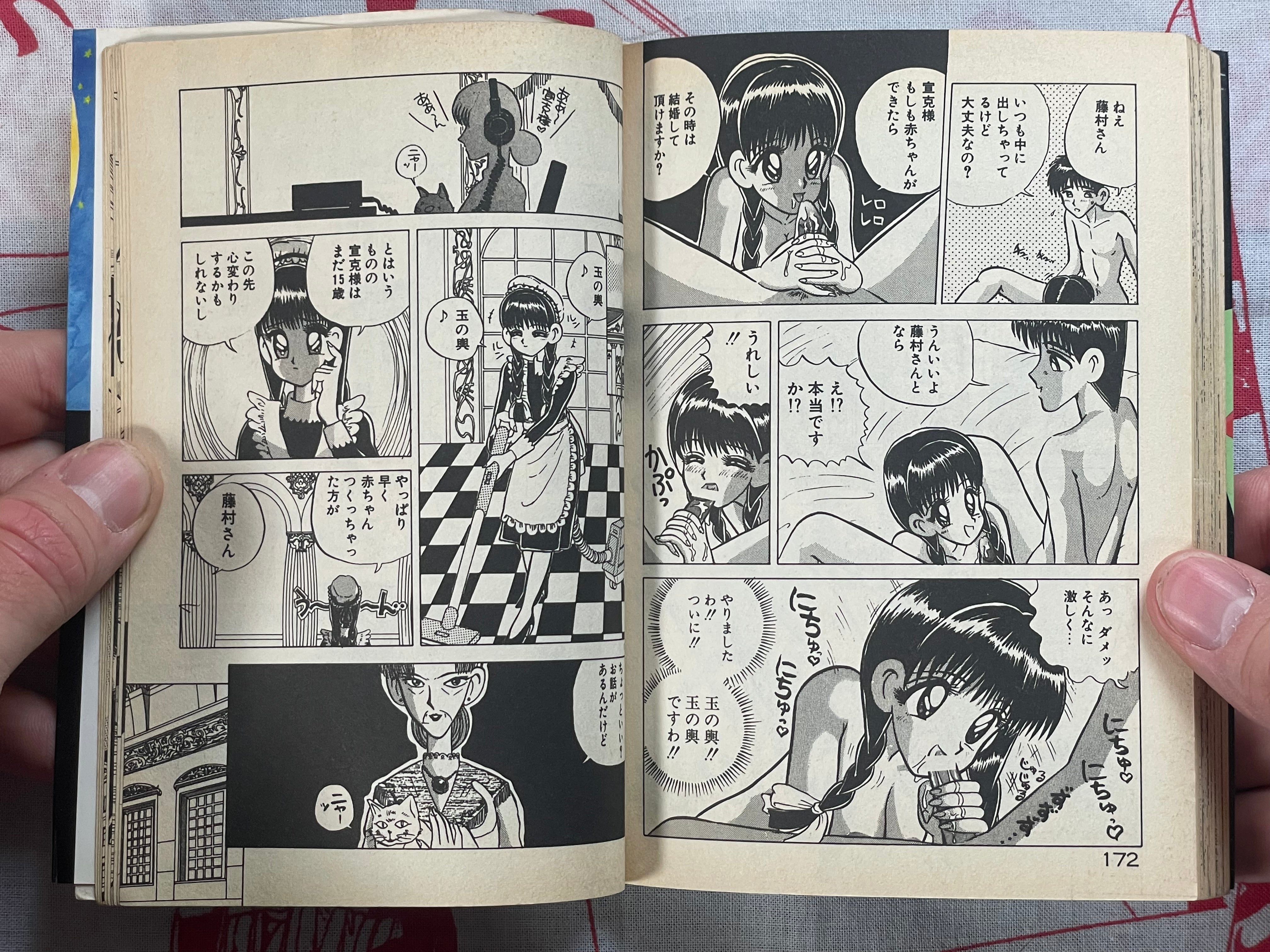 Big Panic Over That Girl! - bunko size by Kenzaki Mikuri et al (1991)