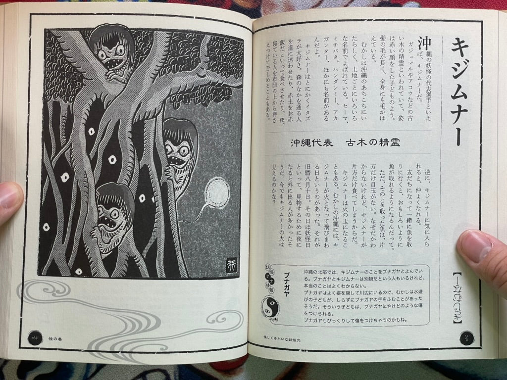 Yokai Hole by Kenji Murakami & Shinbun Udagawa & Yukio Amano (2011)