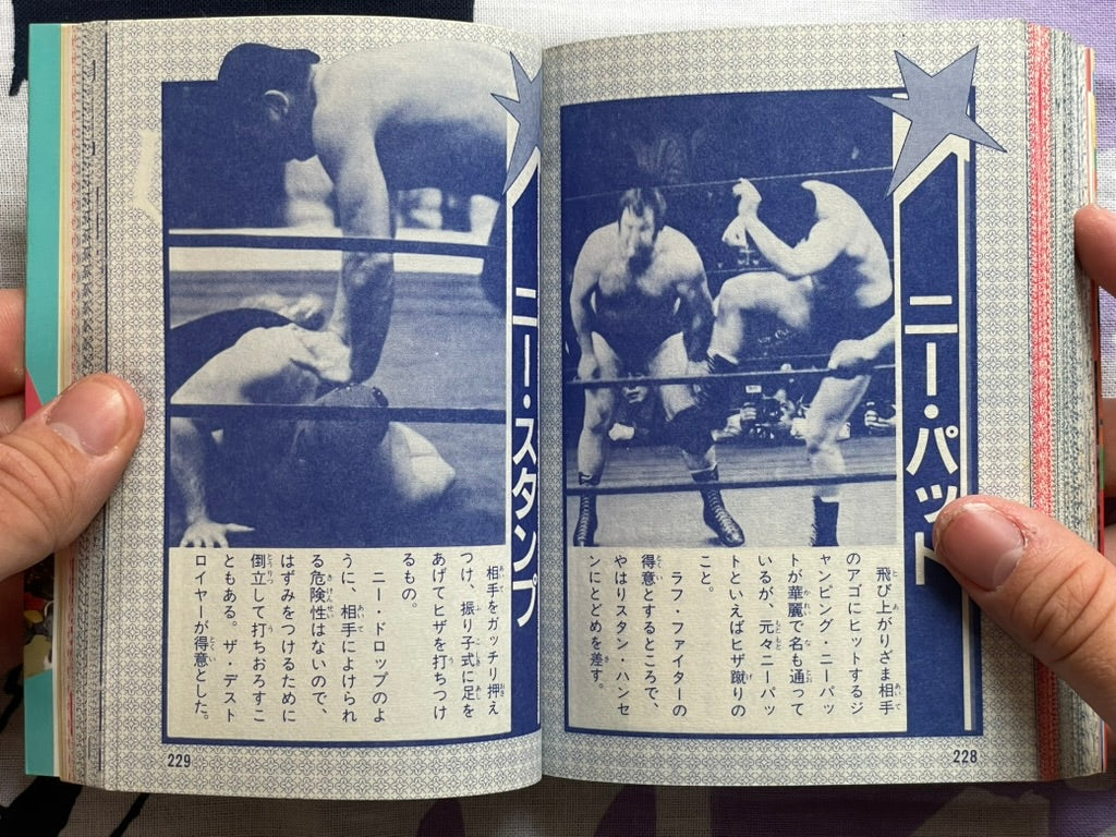 Pro Wrestling Finishing Move Encyclopedia - Bunko Edition (1984)