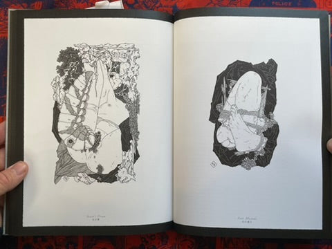 SIGNED Allure of Pharmakon by Yamamoto Takato - Hardcover + Slipcover (2023)