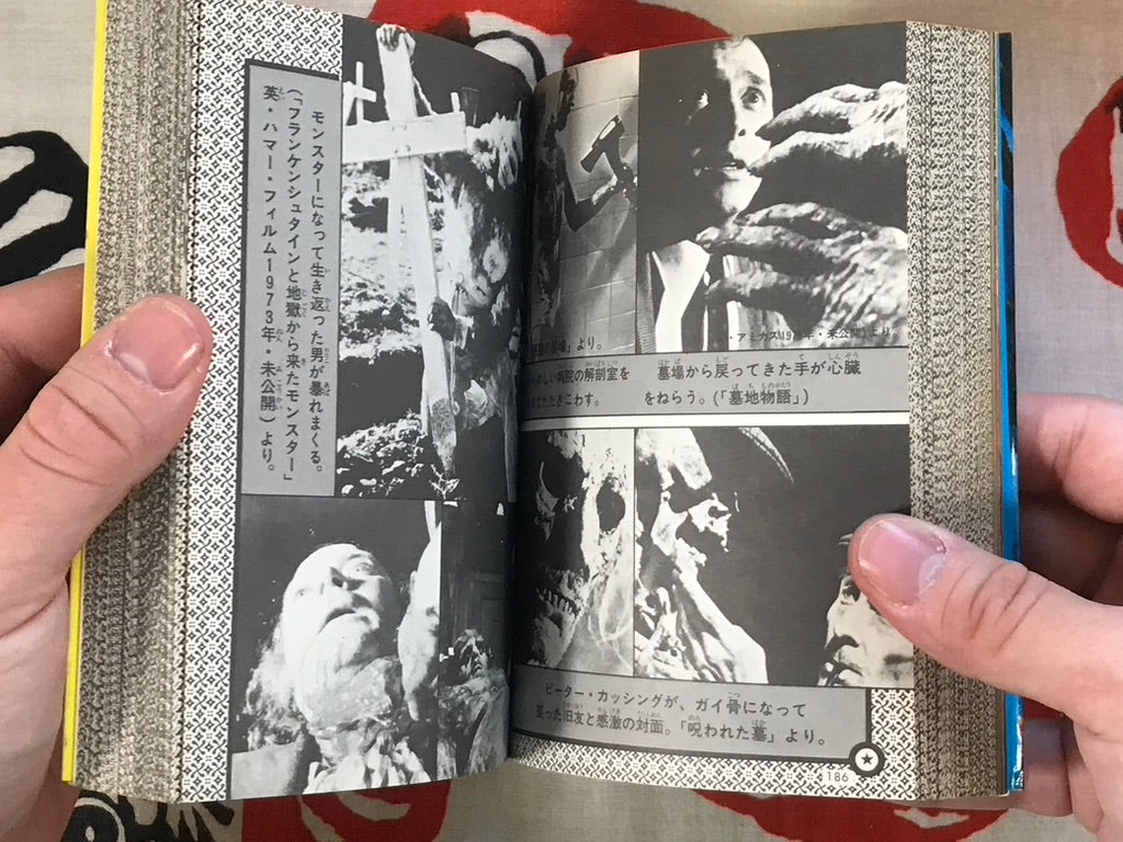 Mysterious Monster Encylopedia by Akita Shoten (1980)