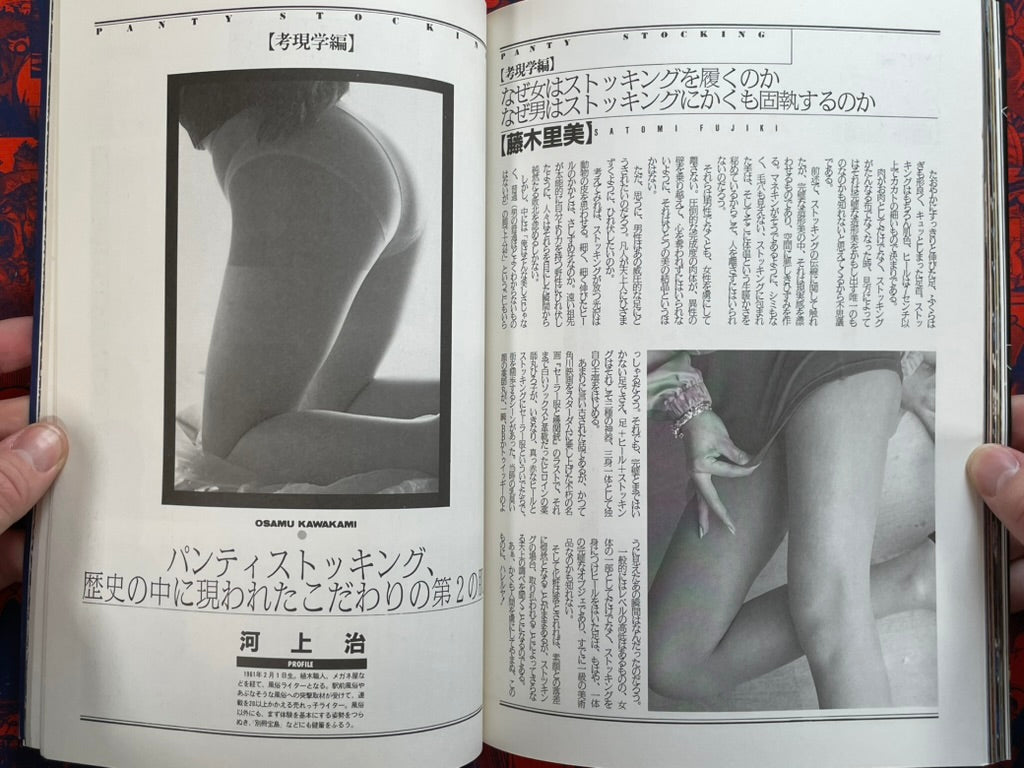 Panty Stocking: More Beautiful Than Skin (1995)