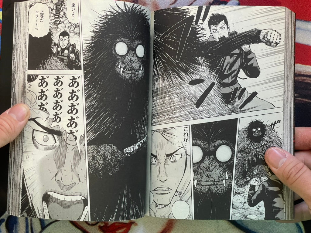 Monkey Peak by Koji Shinasaka & Akihiro Kumeta Vol. 1-12 + The Rock Vol. 2 (2017)