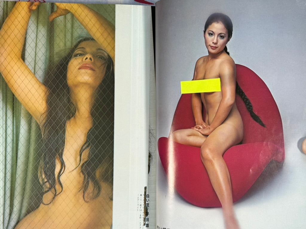 Series Nippon Camera 9 by Nippon Camera Mook (1975)