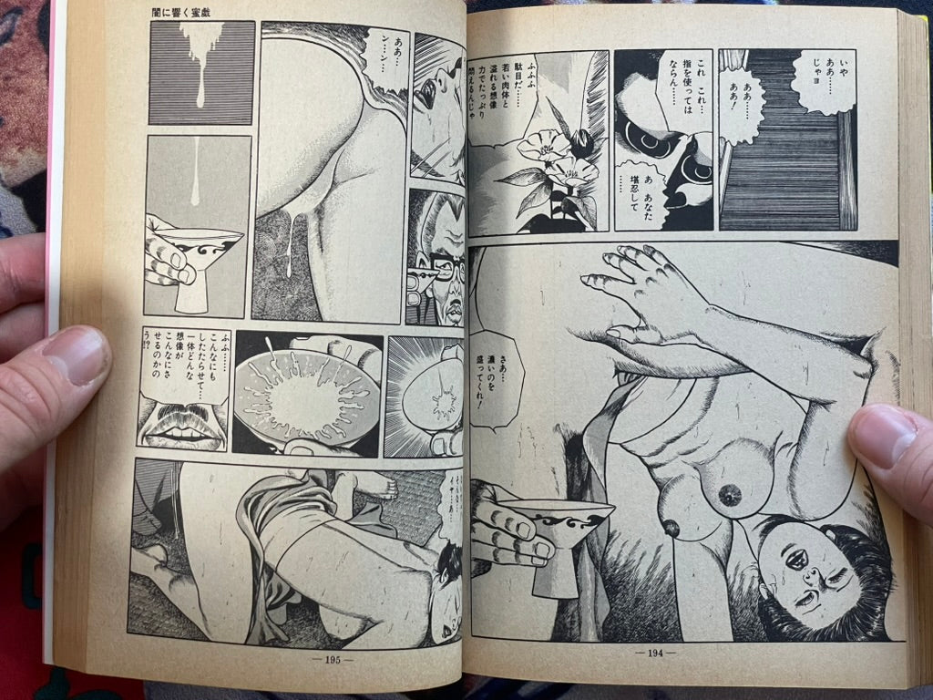 Moan at the Whip by Sugawara Takuya (1981)