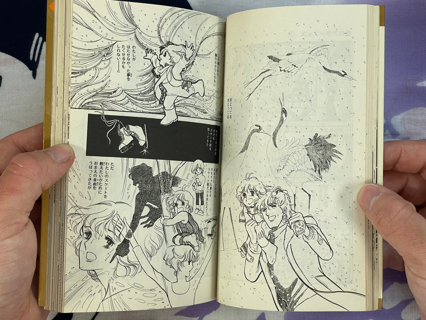 Love of Aranjuez by Satoru Makimura (1979)