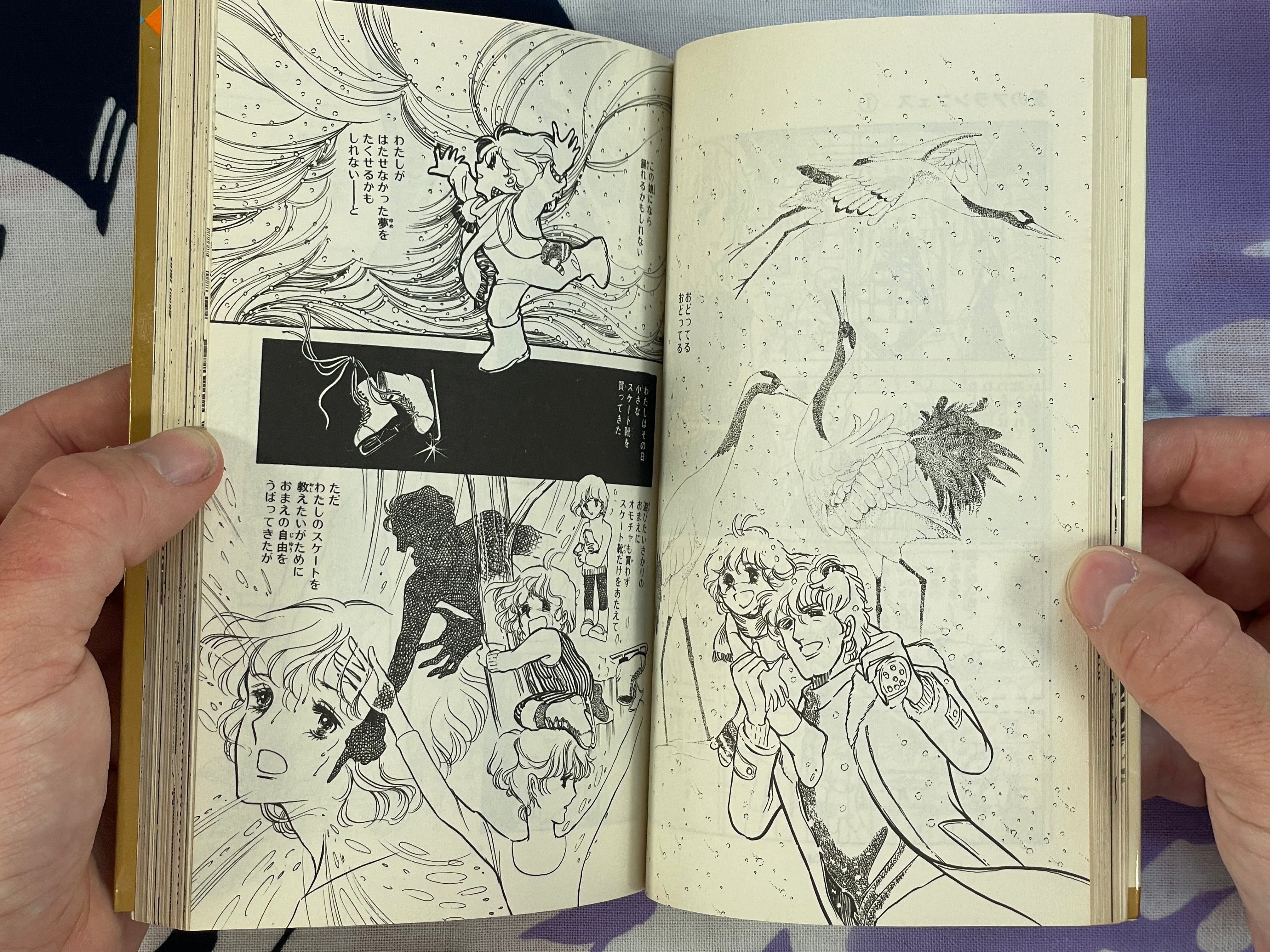 Love of Aranjuez by Satoru Makimura (1979)
